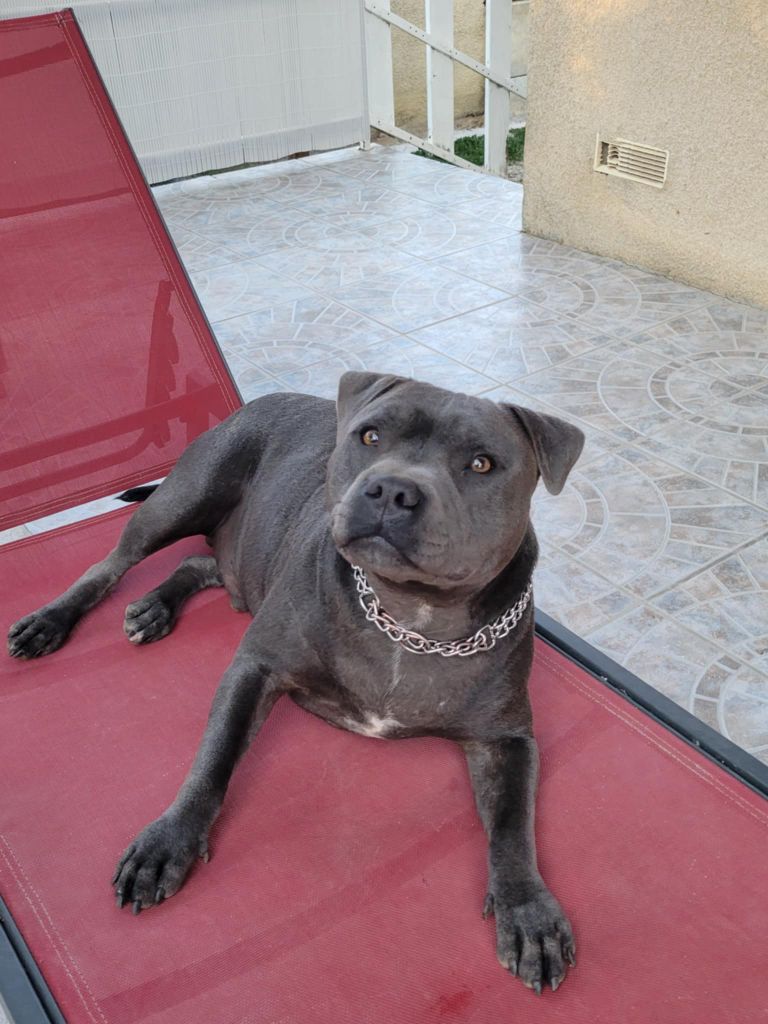 Val ares Des Plaines D'Alderaan