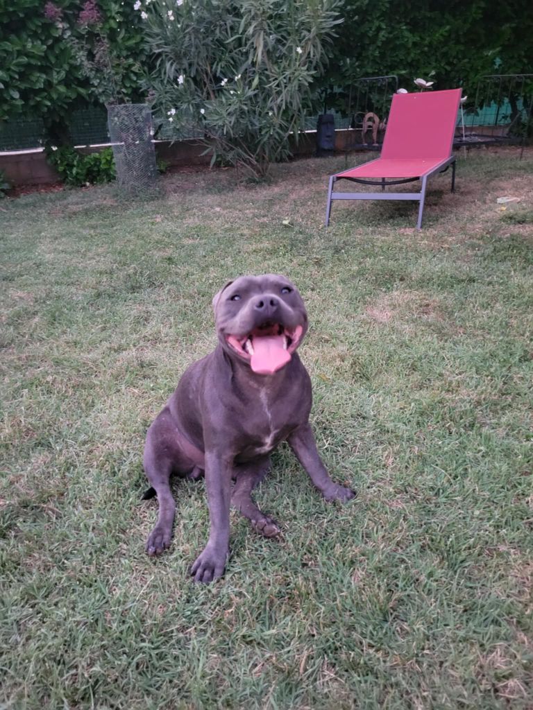 Val arès Des Plaines D'Alderaan