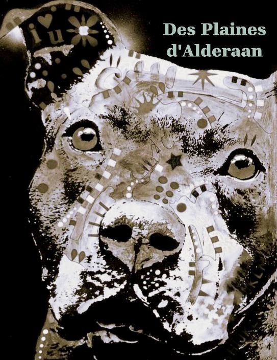 Des Plaines D'Alderaan